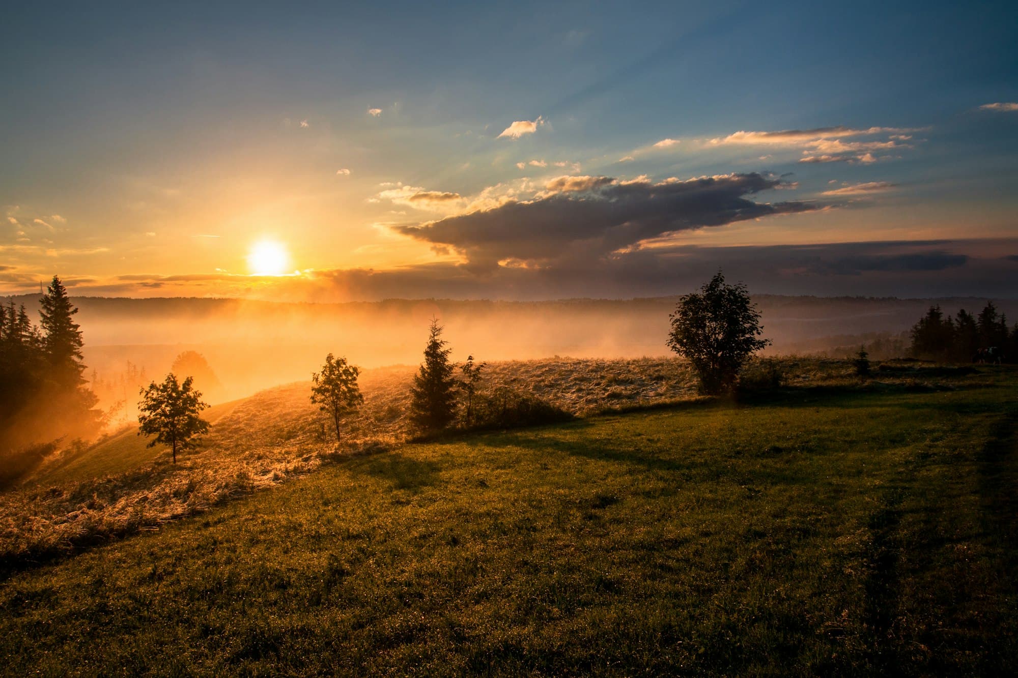 Golden evening light settling over misty rural fields at dusk